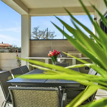 Vilma וילה Loborika